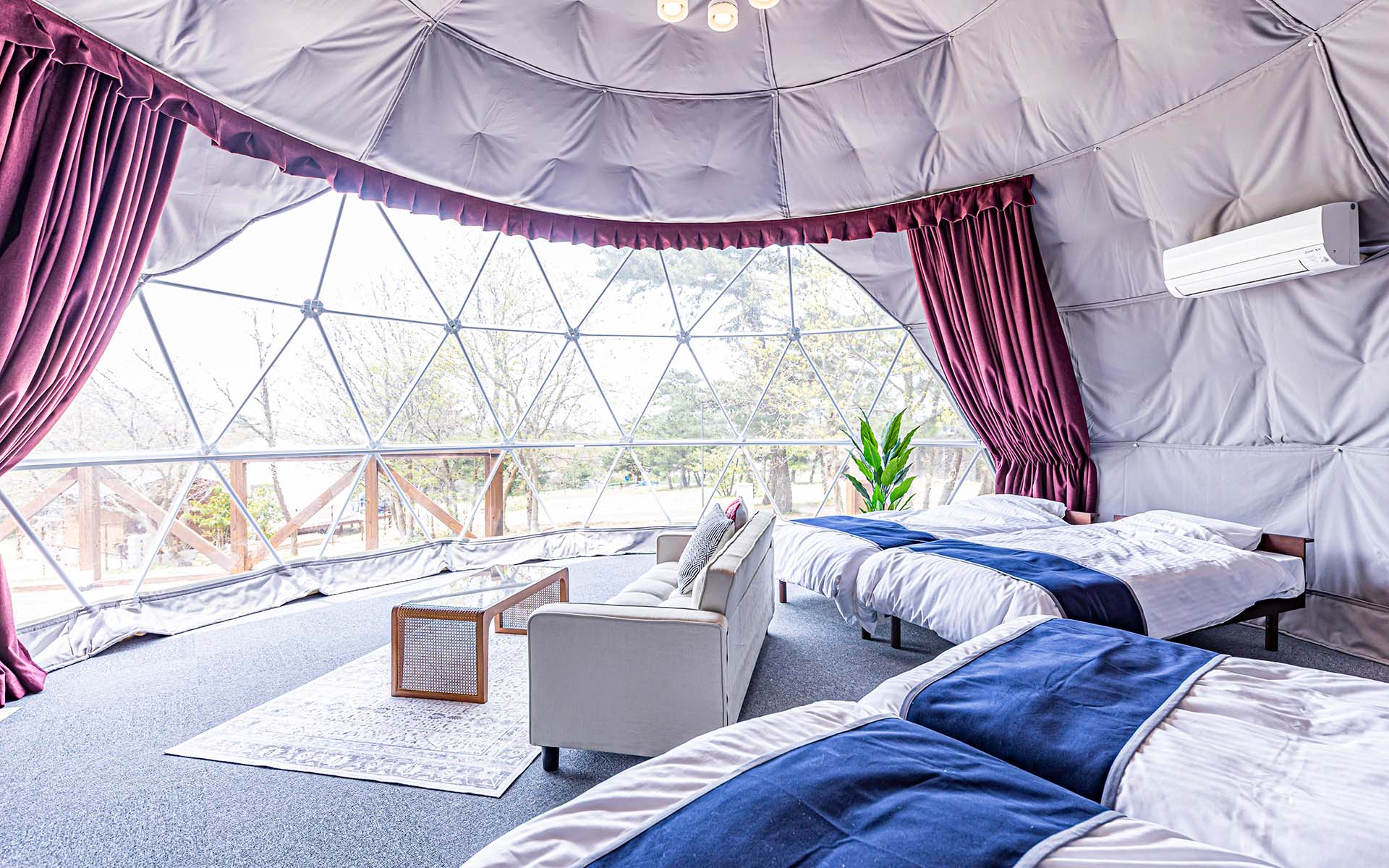 글램돔 사유 – sayu