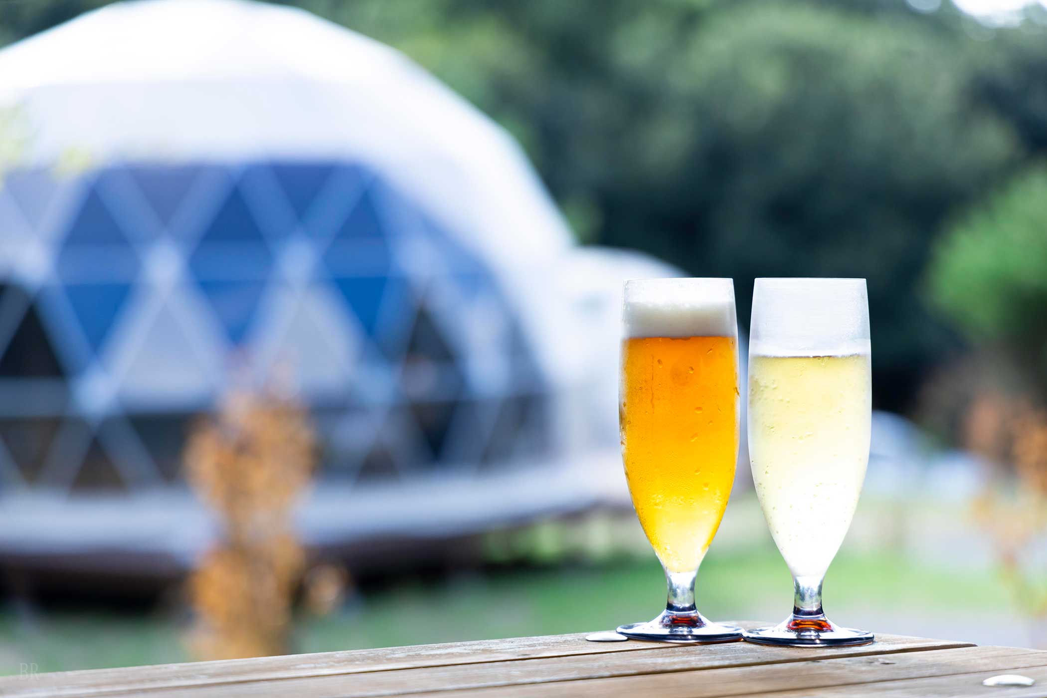 무료 음료 서비스